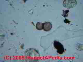 Paint lab Photograph of sample of failed paint